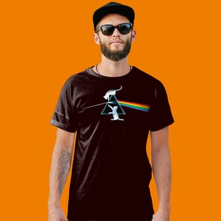 Nome do produto PINK FLOYD - DARK SIDE OF THE CAT