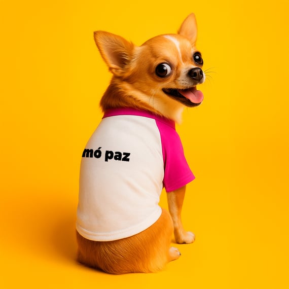 T-shirt PET 