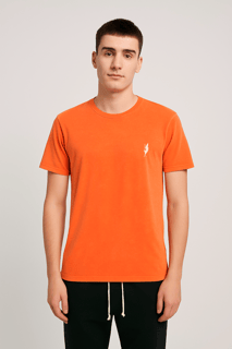 Nome do produto CAMISETA REGULAR ESTONADA LOGO