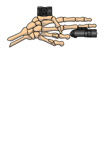 Nome do produto T-shirt | Deadly Grip