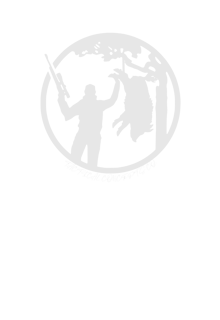 Nome do produto T-shirt | Trophy Code