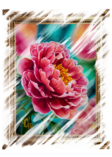 Nome do produto Peonia - Baby Long Front