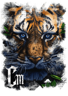 Nome do produto Tigre - BackFront