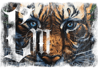 Nome do produto Tigre - Cropped
