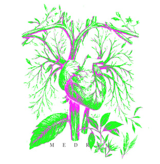 Nome do produto Camiseta - Anatomia: Coração