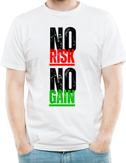 Camiseta  NO RISK NO GAIN