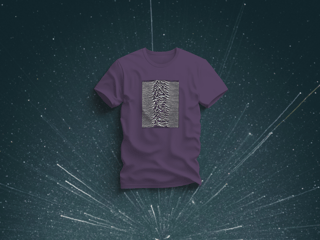 Unknown Pleasures (unissex)