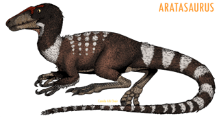 Nome do produto Camiseta Baby Long Aratasaurus