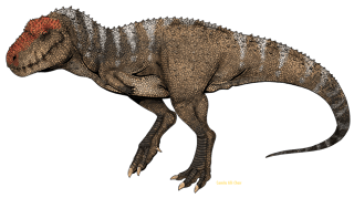 Nome do produto Moletom Canguru Abelisaurus