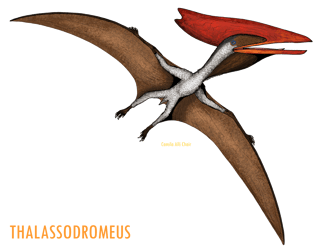 Nome do produto Camiseta Thalassodromeus