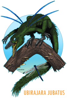 Nome do produto Camiseta Dinossauro Ubirajara jubatus