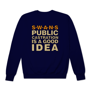 Nome do produto [Moletom Premium] SWANS