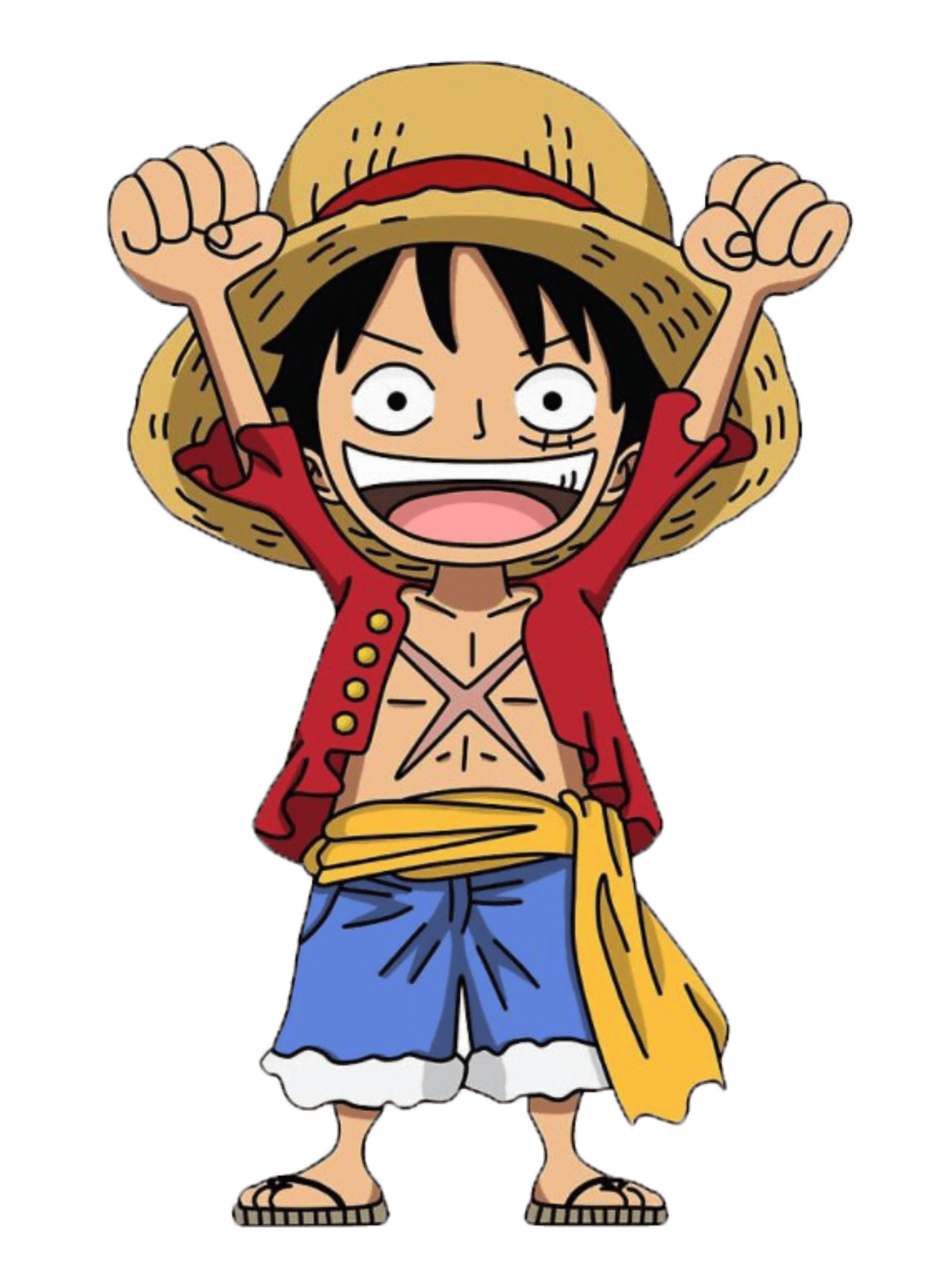 One Piece - Infantil (2-8)